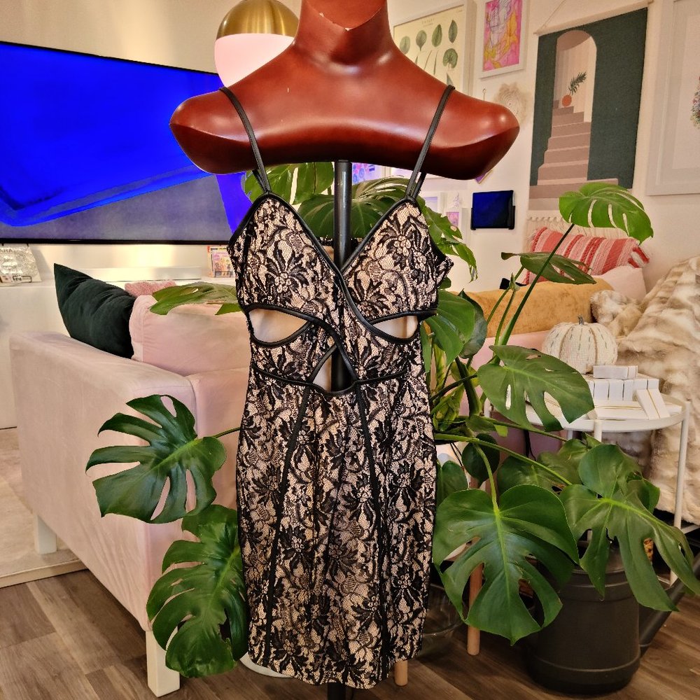Privy Cut Out Lace Bodycon Dress